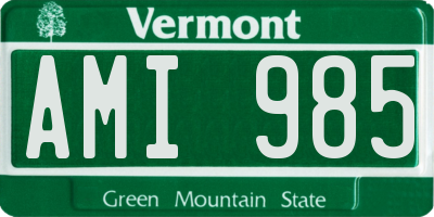VT license plate AMI985