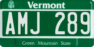VT license plate AMJ289