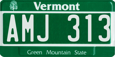 VT license plate AMJ313