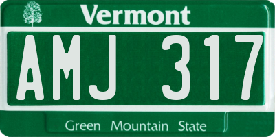 VT license plate AMJ317