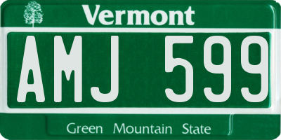 VT license plate AMJ599