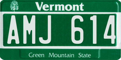 VT license plate AMJ614