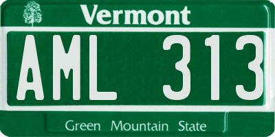 VT license plate AML313