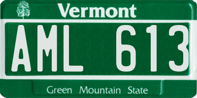 VT license plate AML613