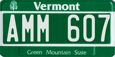 VT license plate AMM607