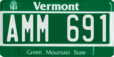 VT license plate AMM691