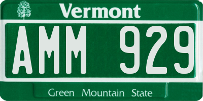 VT license plate AMM929