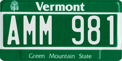 VT license plate AMM981