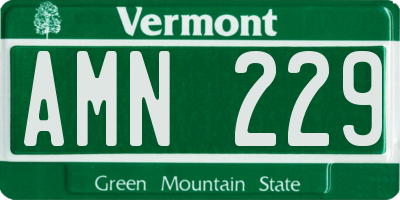 VT license plate AMN229
