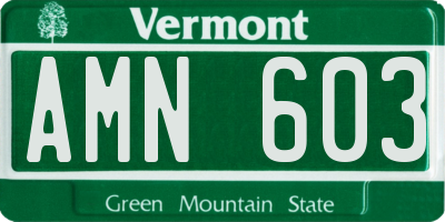 VT license plate AMN603