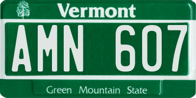 VT license plate AMN607