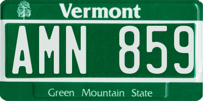 VT license plate AMN859