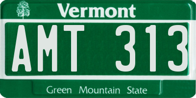 VT license plate AMT313