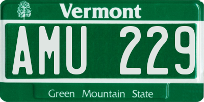 VT license plate AMU229