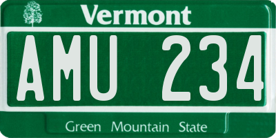 VT license plate AMU234
