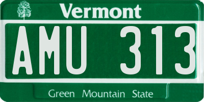 VT license plate AMU313