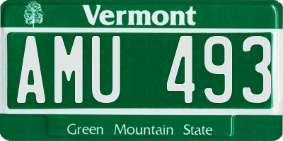 VT license plate AMU493