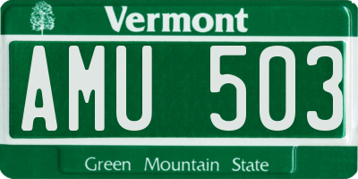 VT license plate AMU503