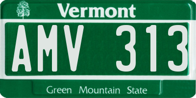 VT license plate AMV313
