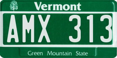 VT license plate AMX313
