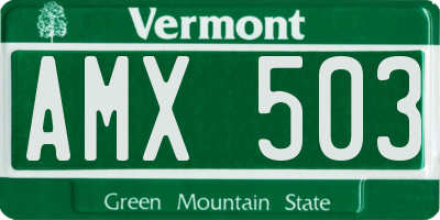 VT license plate AMX503