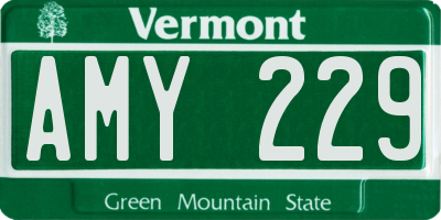 VT license plate AMY229