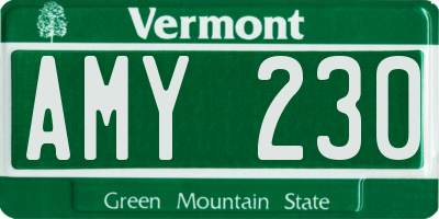 VT license plate AMY230