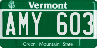 VT license plate AMY603