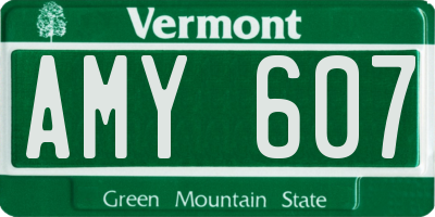 VT license plate AMY607