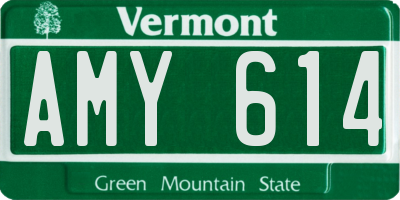 VT license plate AMY614