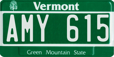 VT license plate AMY615