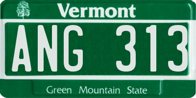 VT license plate ANG313