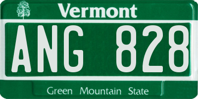 VT license plate ANG828