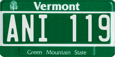 VT license plate ANI119