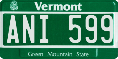 VT license plate ANI599