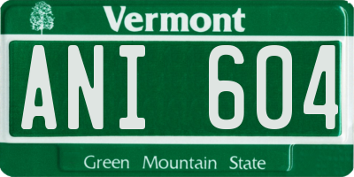 VT license plate ANI604
