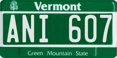 VT license plate ANI607