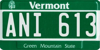 VT license plate ANI613