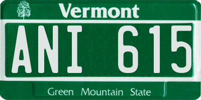 VT license plate ANI615