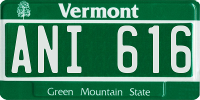 VT license plate ANI616