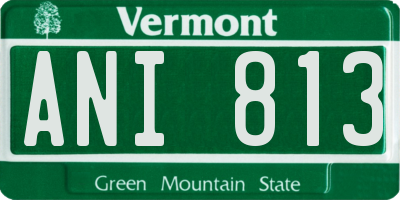 VT license plate ANI813