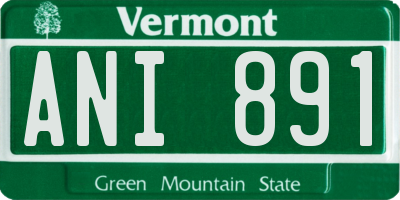 VT license plate ANI891