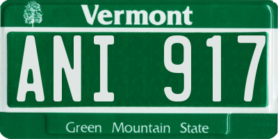 VT license plate ANI917