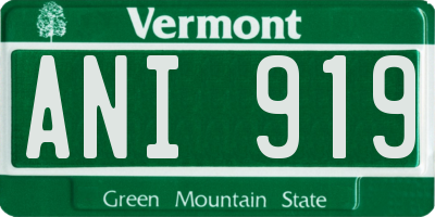VT license plate ANI919