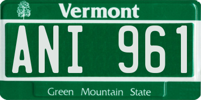 VT license plate ANI961