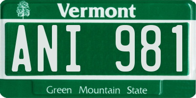 VT license plate ANI981