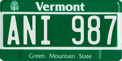 VT license plate ANI987