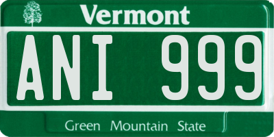 VT license plate ANI999