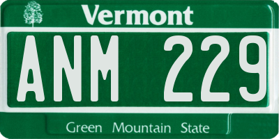 VT license plate ANM229