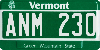 VT license plate ANM230